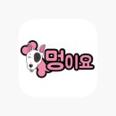 숲속 아지양이 네이버블로그