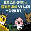 비전앤하드렌즈샵