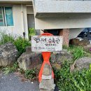 박월 | 질그랭이 머무는 제주서쪽 게스트하우스:: 언니네시골집ㅣ심야식당ㅣ아침산책스냅투어