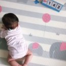 조형과 운동 이미지