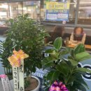 샤브향 부천고강점 이미지