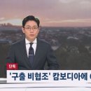 정부, '구출 비협조적' 캄보디아에 ODA 예산 재검토 이미지