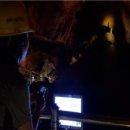 천곡황금박쥐동굴 이미지