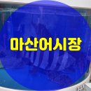 원조마산횟집