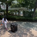 [내돈내산] 60L 대용량 바퀴달린 장바구니 카트 솔직 후기