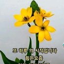멋진하루 이미지