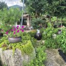 나만의계곡 이미지