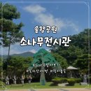 솔향공원 소나무전시관 이미지