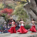 밸리댄스 이미지