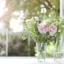 더편안한의원 이미지