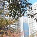 소월공인중개사사무소 이미지