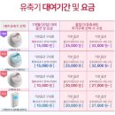 S2 | 스펙트라 유축기 S2+ 대여 후기 더블하트 젖병 호환 흡입기 세트