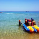 바다와솔숲 이미지