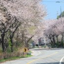 개화1리마을회관 이미지