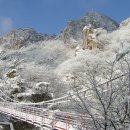 소록소록 이미지