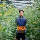 이규호농장 이미지