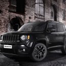 이글지프 이미지