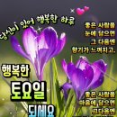 평수 계산법 이미지