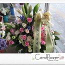 (주)아이티에스 이미지