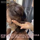 늘;봄뷰티