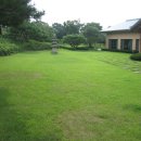 서일화성 이미지