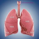 폐암 | 폐암 진단, 수술 후기 2 [폐암 수술, 비용, 세브란스 입원 ]