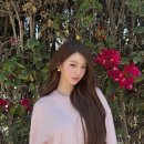 더:예쁨 네이버블로그