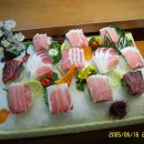 마구로 - 강남구 | 마구로