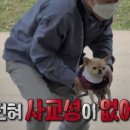 장수탑 이미지