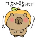 봉곡로-13 이미지