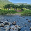 감천계곡 입구 이미지