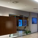 리라 | 삼성역피부과 허벅지 지방분해주사 리라주사 가격 효과 만족 후기