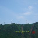 상태도 | 전남 신안군 흑산면 상태도, 여름 끝자락 섬 여행