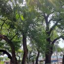 길안다슬기캠프 이미지