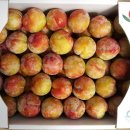 청성농장 이미지