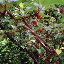 미륵산계곡꿈의궁전마을 이미지