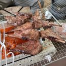 평창 유동둔치 휴양지 노지캠핑 후기/ 평창강 바라보며 힐링