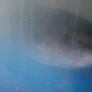 금정수산 이미지