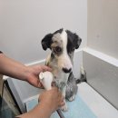 개중목욕탕 이미지