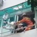 취한망