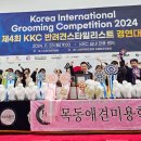 아이러브독 애견미용실 이미지