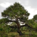 구암동387 이미지