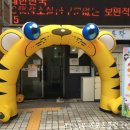 솔에어 이미지