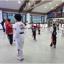 한국체대 영우태권도 이미지