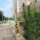 금당로69번길 이미지