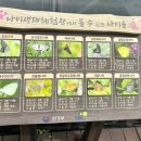 반달유치원 | 하동 아이와 가볼만한곳 🌿 체험 가득했던 하동군지리산생태과학관 후기