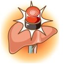 라파엘의원 이미지