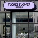 flower 테오