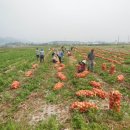 상서면사무소 이미지