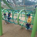 07.05-나들이:신창어린이공원에서의 놀이2 이미지